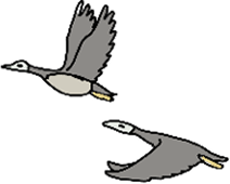 サフラン酒本舗施設マップ