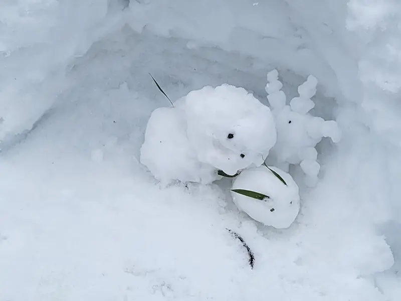 訪れた人がつくった、ほっこり雪だるま