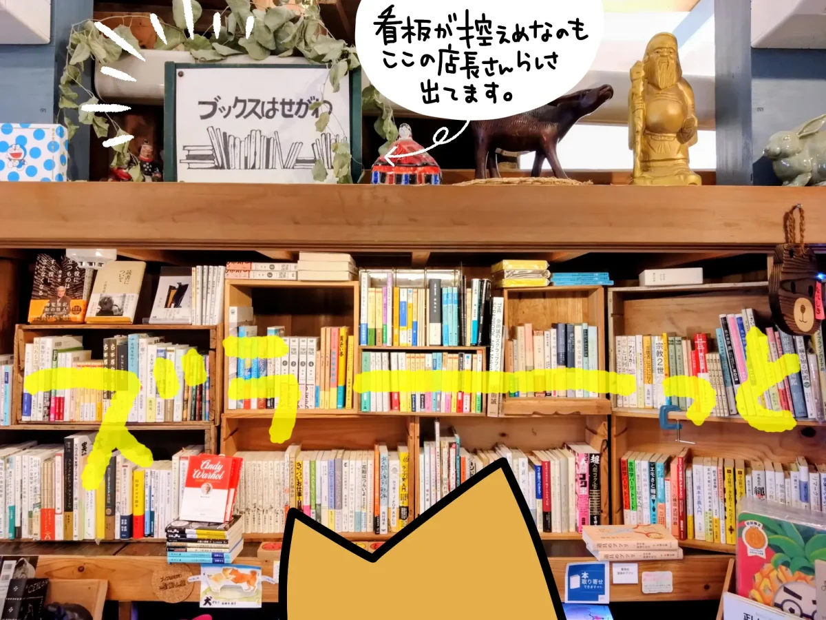 ブックスはせがわ 本棚